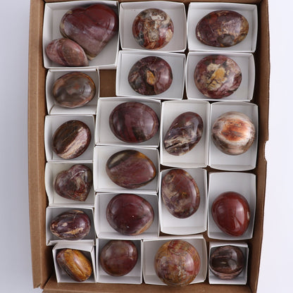 Petrified Wood Freeforms Set of 21