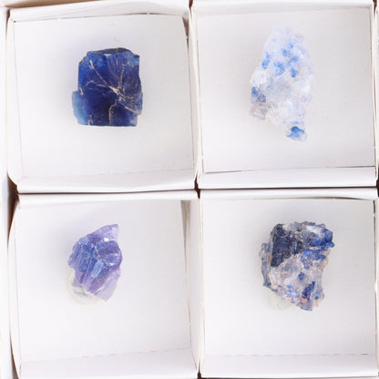 Canadian Blue Halite Rough Set of 9 - Expert Wholesale and Supplier of Wholesale Crystals & Bulk Gemstones, Blue Halite, Canada, Halite, Rough, Roughs