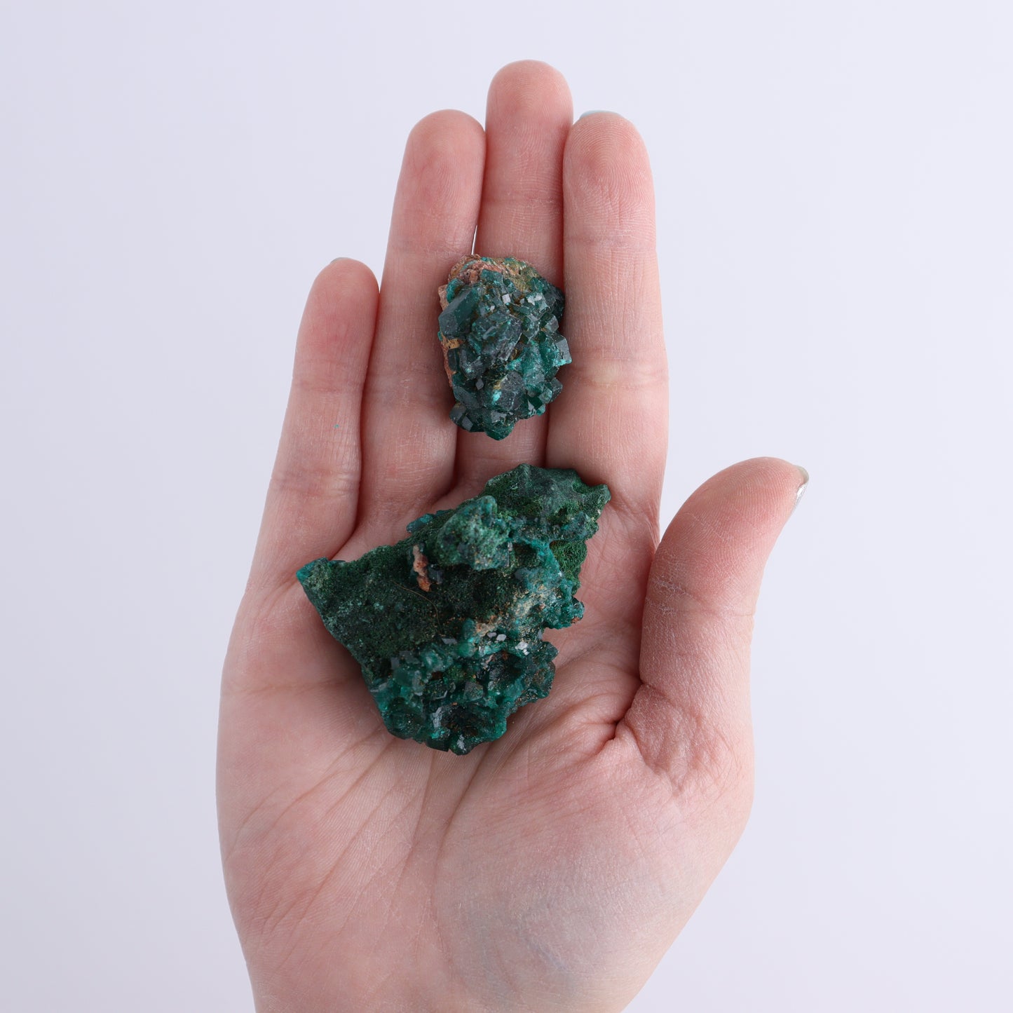 Dioptase Set of 19 - Expert Wholesale and Supplier of Wholesale Crystals & Bulk Gemstones, ["dioptase","Freeform","Freeforms"]