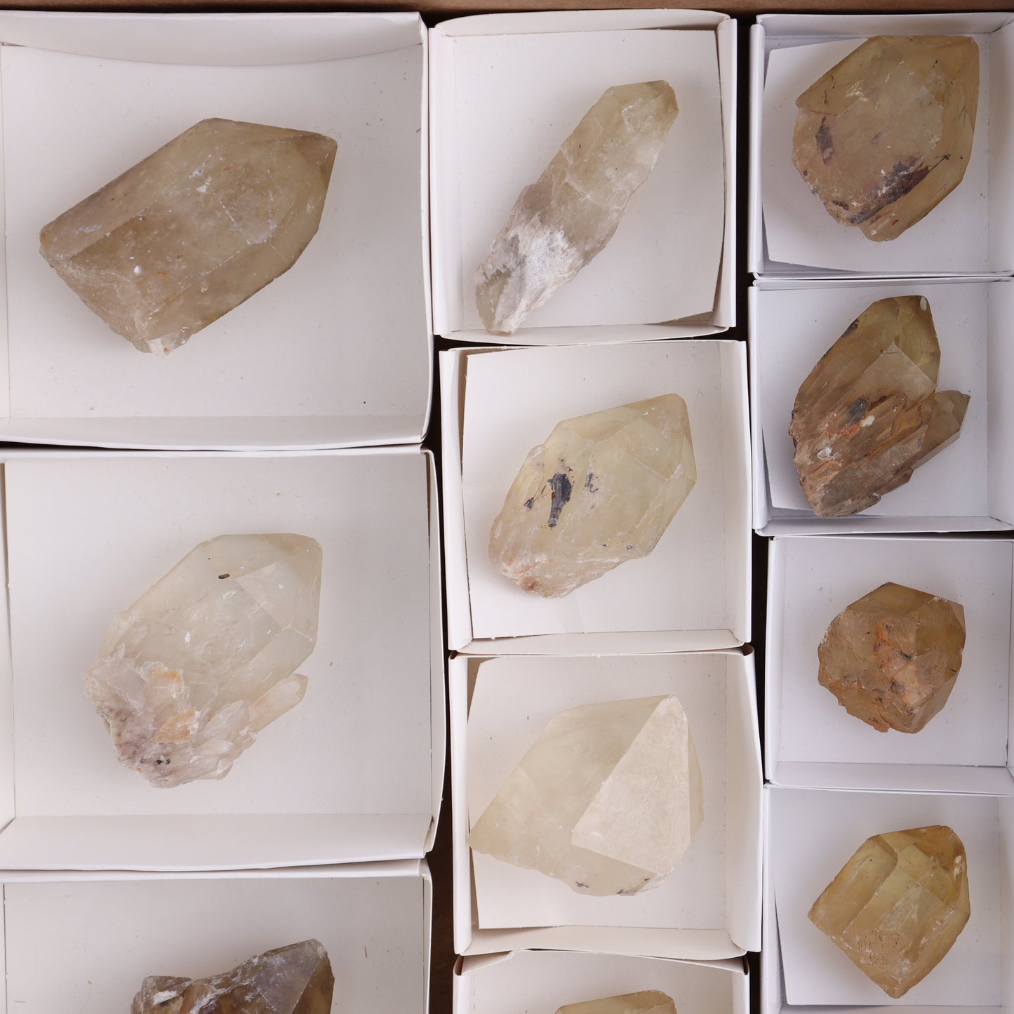 Congo Citrine Set of 12 - Expert Wholesale and Supplier of Wholesale Crystals & Bulk Gemstones, ["Citrine","Congo","Rough","Roughs"]