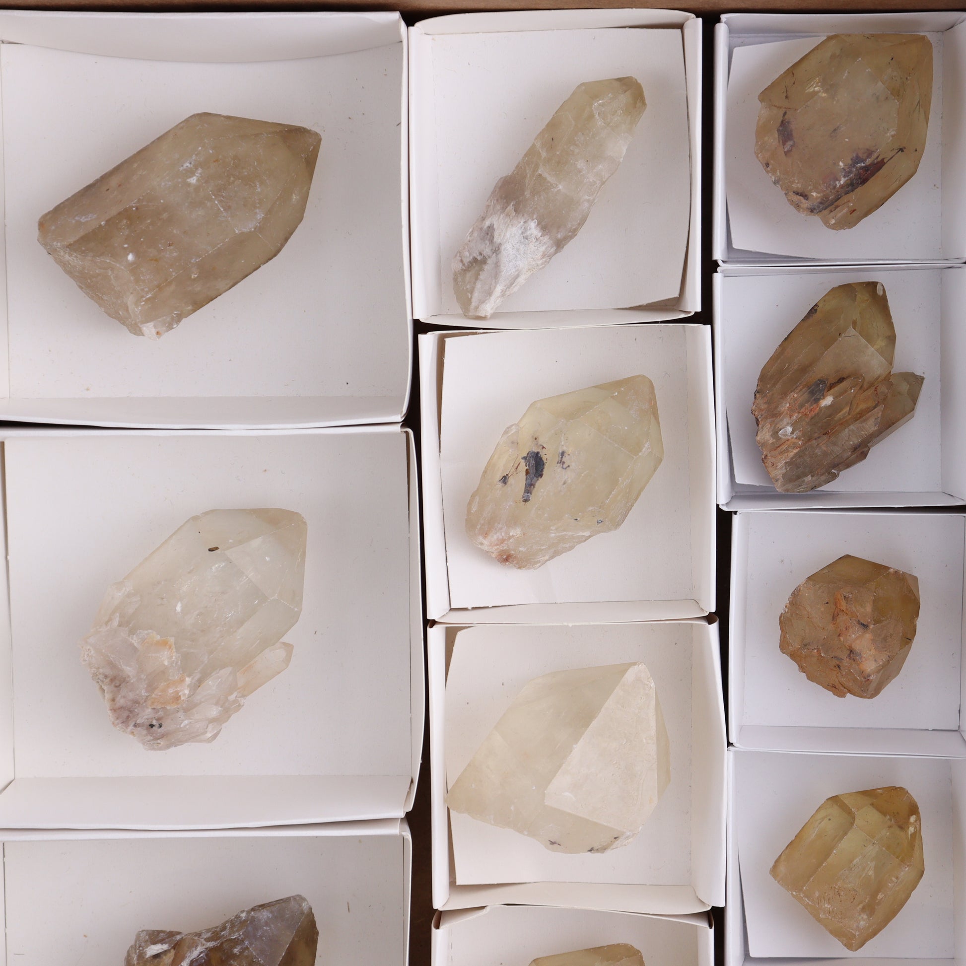 Congo Citrine Set of 12 - Expert Wholesale and Supplier of Wholesale Crystals & Bulk Gemstones, ["Citrine","Congo","Rough","Roughs"]