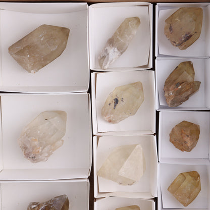 Congo Citrine Set of 12 - Expert Wholesale and Supplier of Wholesale Crystals & Bulk Gemstones, ["Citrine","Congo","Rough","Roughs"]