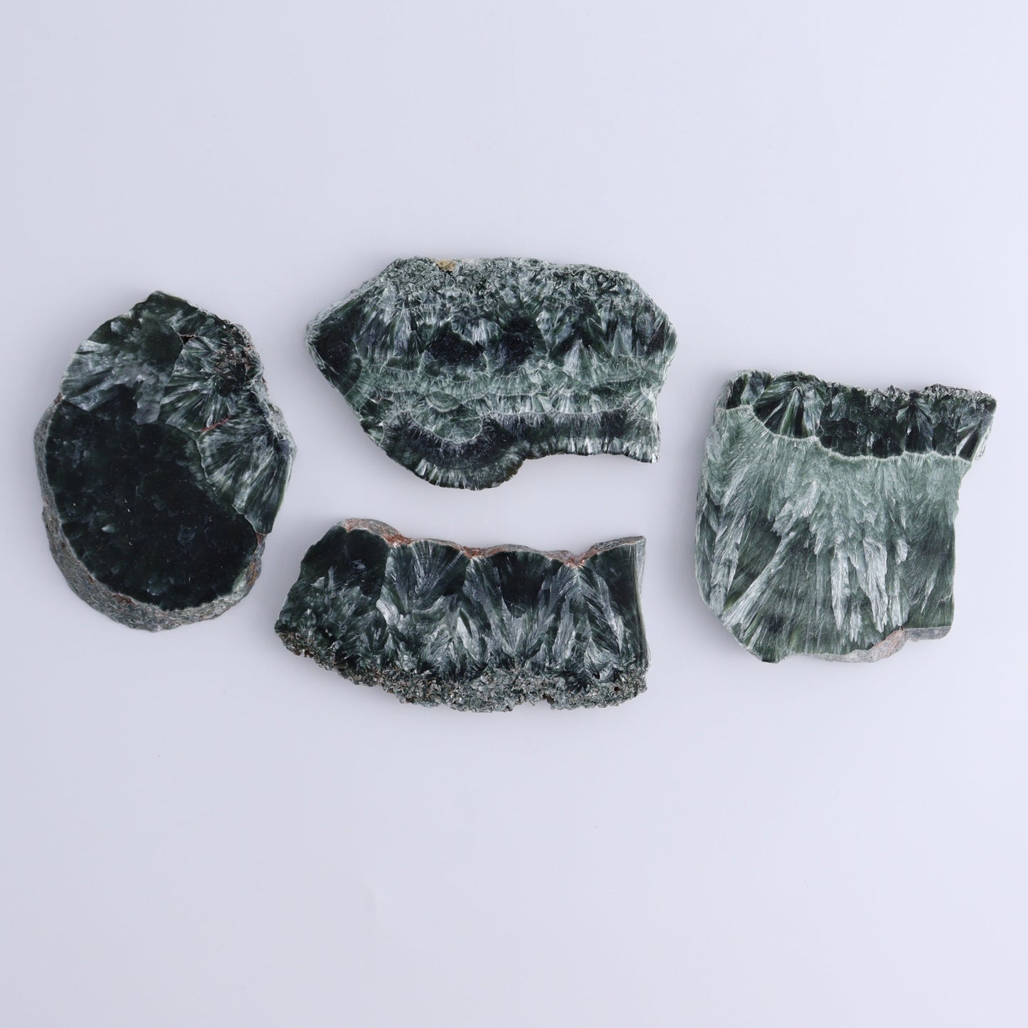 Seraphinite Slices Set of 12 - Expert Wholesale and Supplier of Wholesale Crystals & Bulk Gemstones, ["Russia","Seraphinite","Slices and Slabs"]