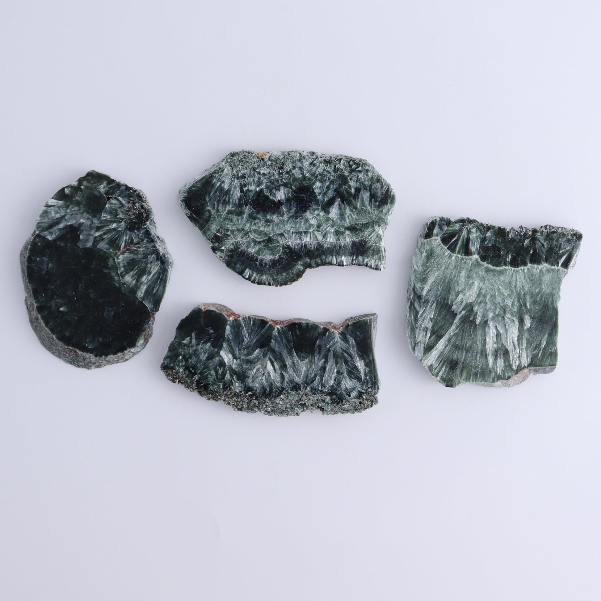 Seraphinite Slices Set of 12 - Expert Wholesale and Supplier of Wholesale Crystals & Bulk Gemstones, ["Russia","Seraphinite","Slices and Slabs"]