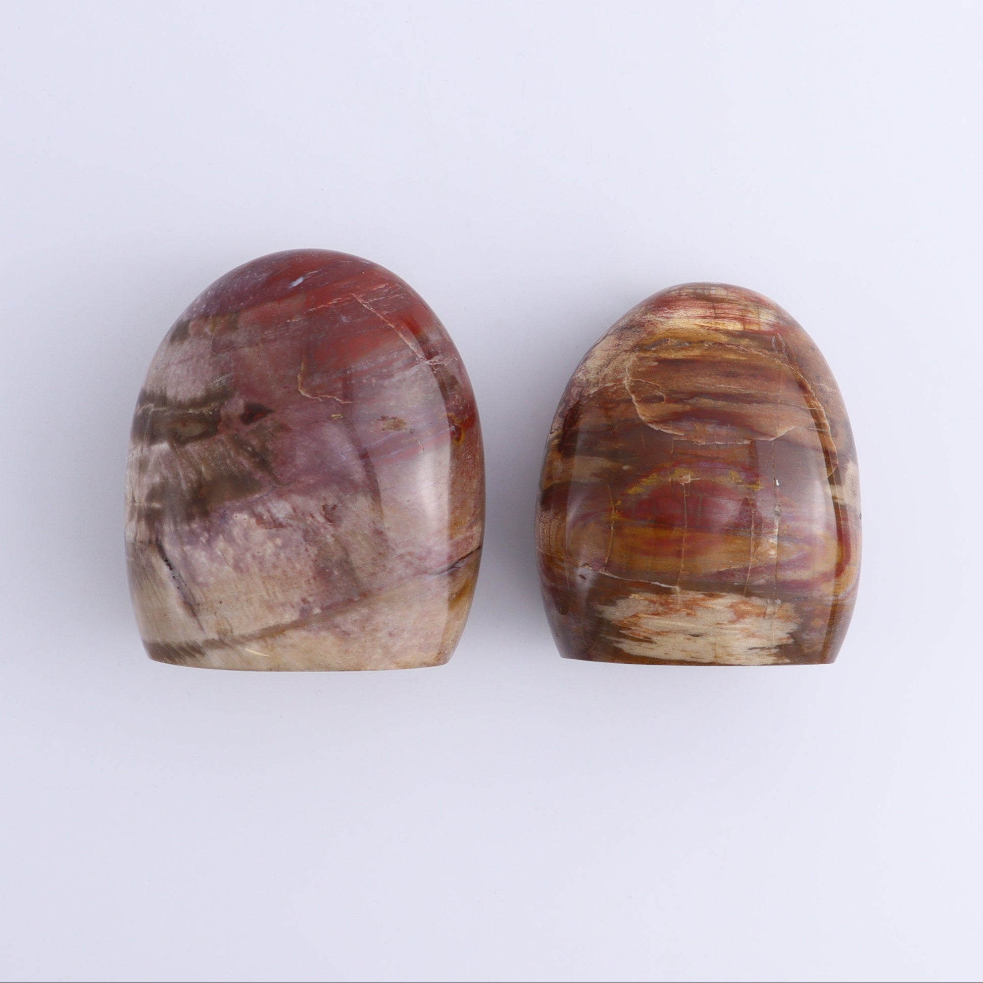 Petrified Wood Freeforms Set of 6 - Expert Wholesale and Supplier of Wholesale Crystals & Bulk Gemstones, ["Freeform","Freeforms","Madagascar","Petrified Wood"]