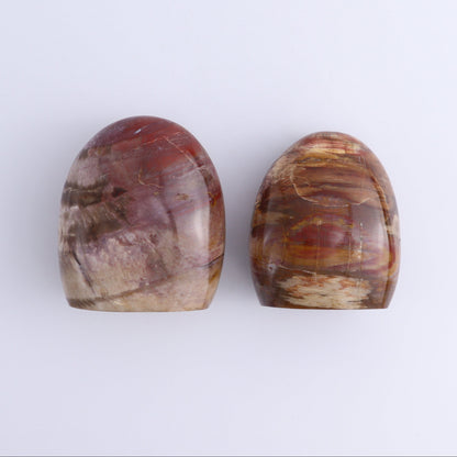 Petrified Wood Freeforms Set of 6 - Expert Wholesale and Supplier of Wholesale Crystals & Bulk Gemstones, ["Freeform","Freeforms","Madagascar","Petrified Wood"]