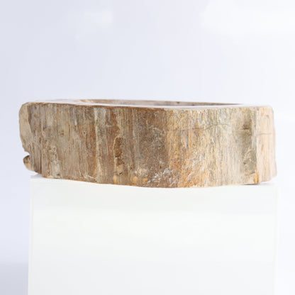 Petrified Wood Bowls Set of 2 - Expert Wholesale and Supplier of Wholesale Crystals & Bulk Gemstones, ["Bowls","Indonesia","Petrified Wood"]