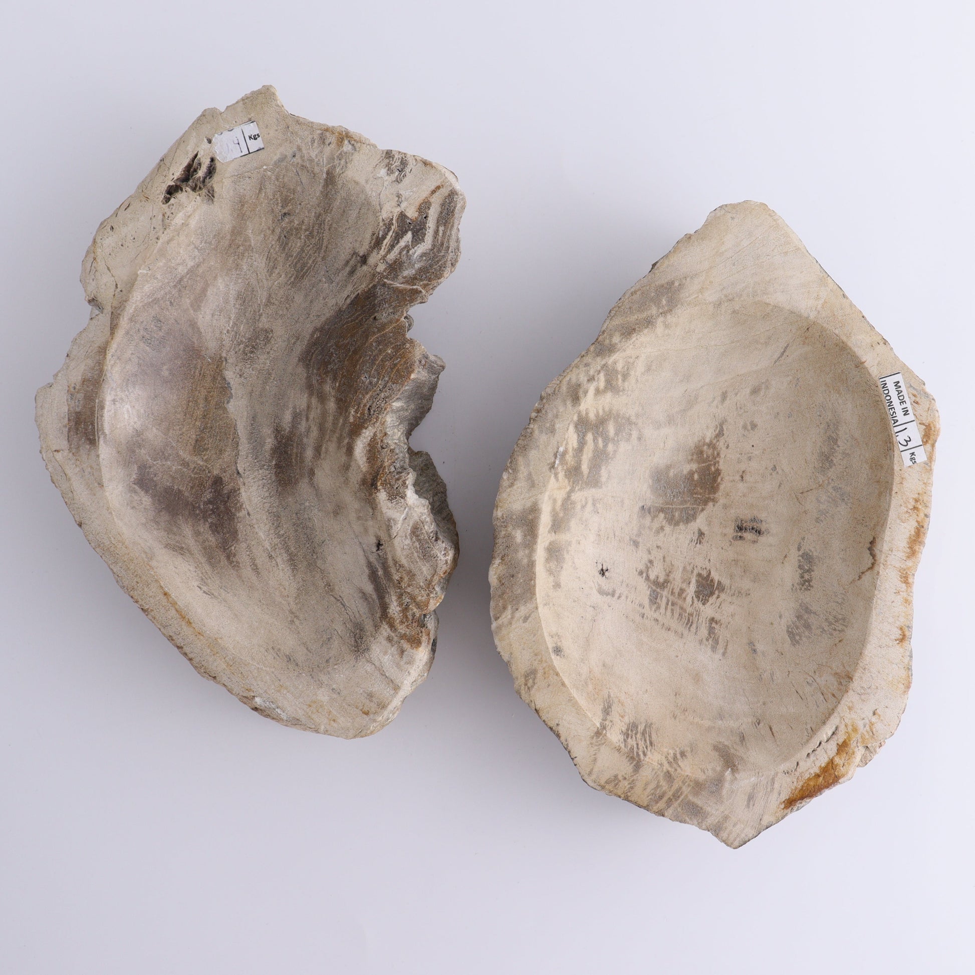 Petrified Wood Bowls Set of 4 - Expert Wholesale and Supplier of Wholesale Crystals & Bulk Gemstones, ["Bowls","Indonesia","Petrified Wood"]