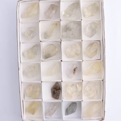 Quartz with Inclusions Feeforms Set of 24