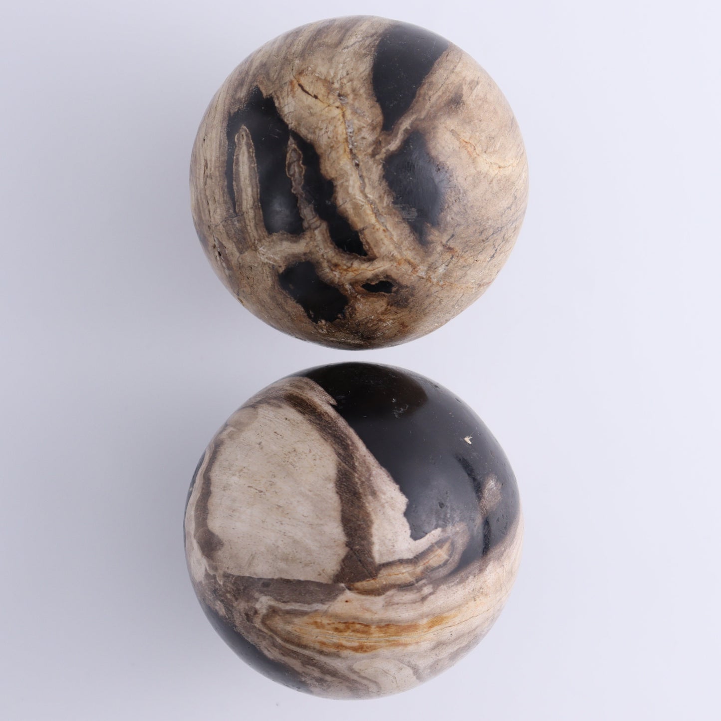 Petrified Wood Spheres Set of 4 - Expert Wholesale and Supplier of Wholesale Crystals & Bulk Gemstones, ["Indonesia","Petrified Wood","Spheres"]