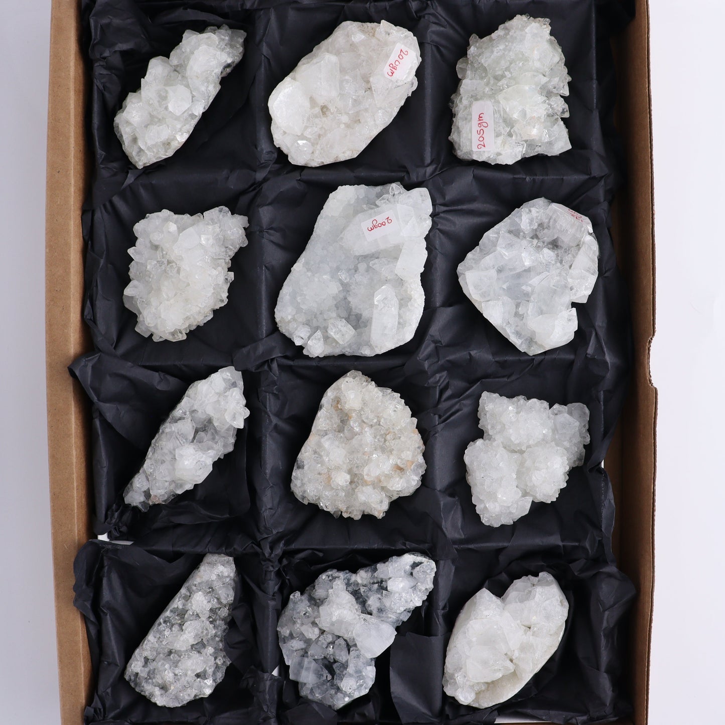 Apophyllite Clusters Flat of 12 - Expert Wholesale and Supplier of Wholesale Crystals & Bulk Gemstones, ["Apophyllite","Clusters","Flats"]