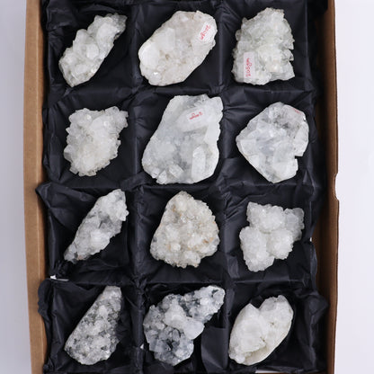 Apophyllite Clusters Flat of 12 - Expert Wholesale and Supplier of Wholesale Crystals & Bulk Gemstones, ["Apophyllite","Clusters","Flats"]