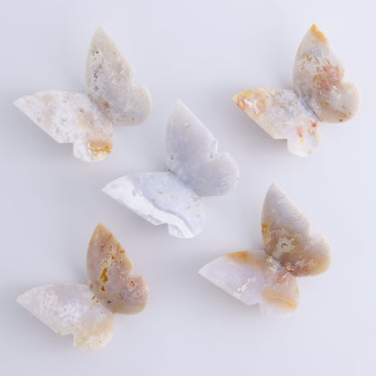 One White Fire Chalcedony Butterfly - Expert Wholesale and Supplier of Wholesale Crystals & Bulk Gemstones, ["Agate","Butterflies","Butterfly","White Fire Agate"]