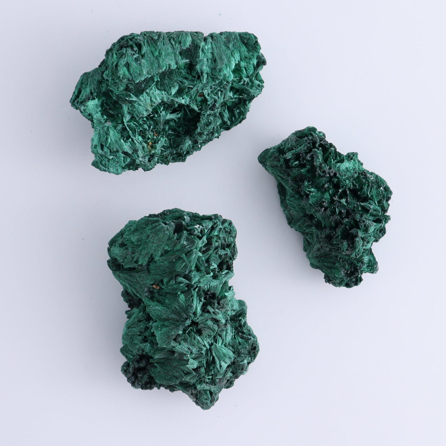 Malachite Freeforms Set of 12 - Expert Wholesale and Supplier of Wholesale Crystals & Bulk Gemstones, ["Freeform","Malachite","South Africa"]