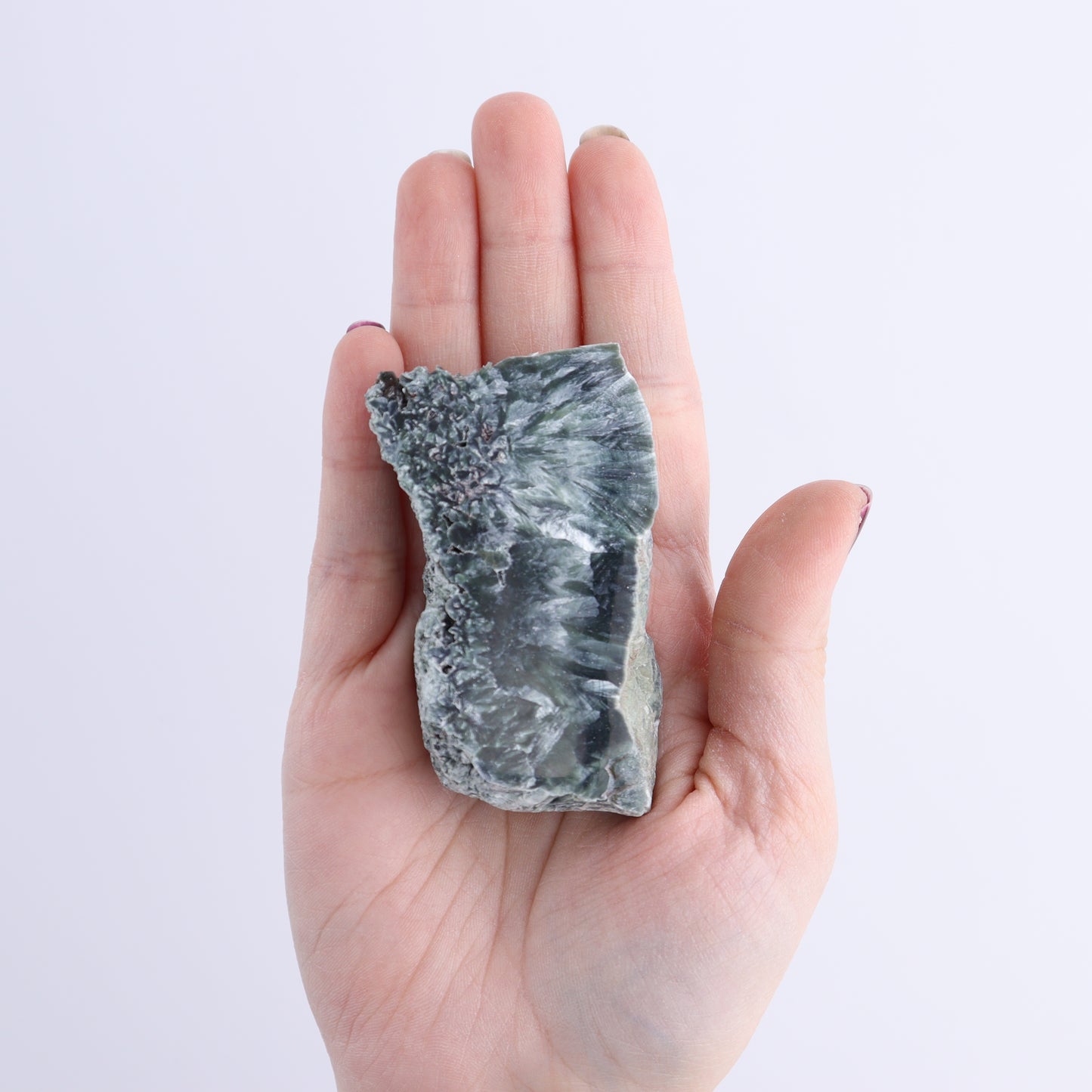 Seraphinite Slices Set of 12 - Expert Wholesale and Supplier of Wholesale Crystals & Bulk Gemstones, ["Russia","Seraphinite","Slices and Slabs"]