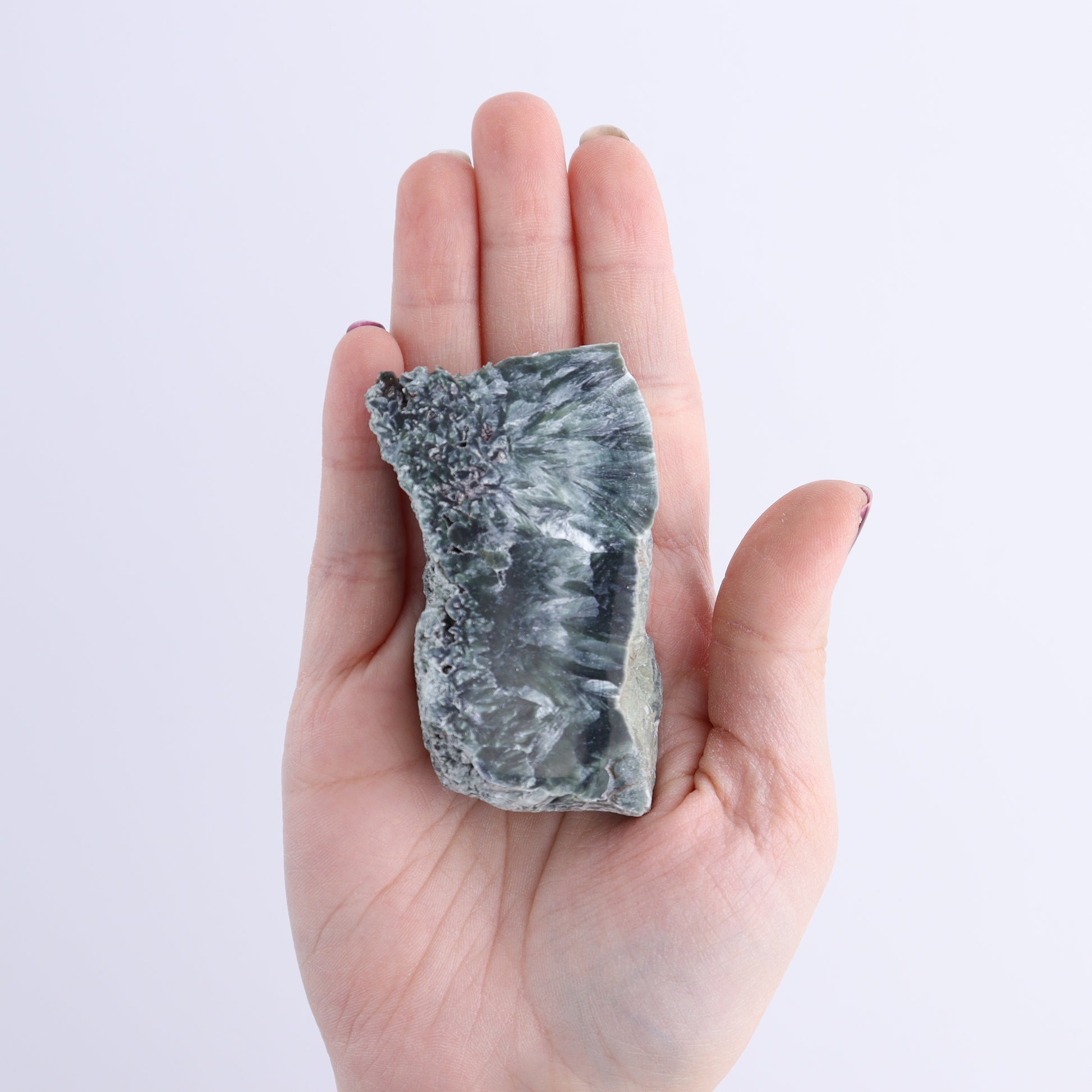 Seraphinite Slices Set of 12 - Expert Wholesale and Supplier of Wholesale Crystals & Bulk Gemstones, ["Russia","Seraphinite","Slices and Slabs"]