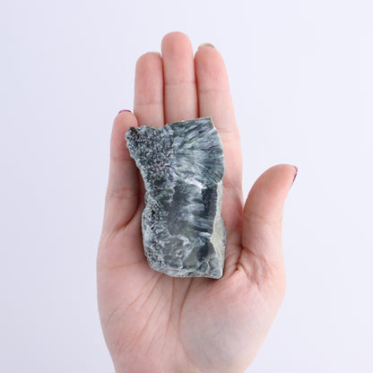 Seraphinite Slices Set of 12 - Expert Wholesale and Supplier of Wholesale Crystals & Bulk Gemstones, ["Russia","Seraphinite","Slices and Slabs"]