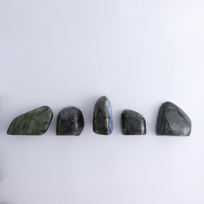 Labradorite Freeform Set 10 - Expert Wholesale and Supplier of Wholesale Crystals & Bulk Gemstones, ["Freeforms","Labradorite","Madagascar"]