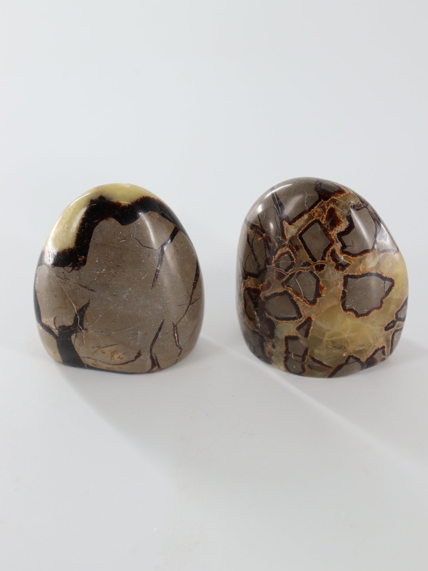 Septarian Freeforms Set of 6 - Expert Wholesale and Supplier of Wholesale Crystals & Bulk Gemstones, []