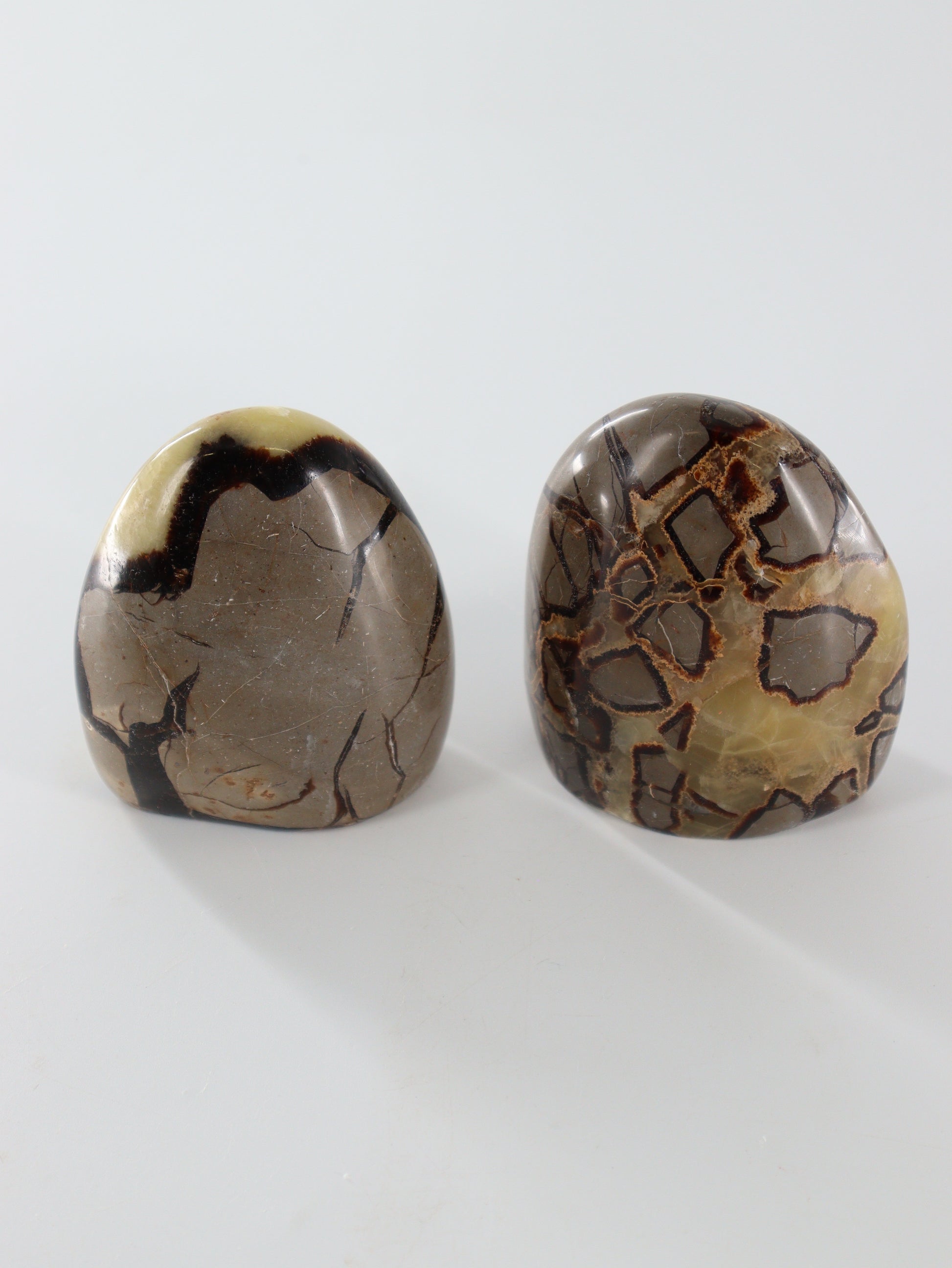 Septarian Freeforms Set of 6 - Expert Wholesale and Supplier of Wholesale Crystals & Bulk Gemstones, []