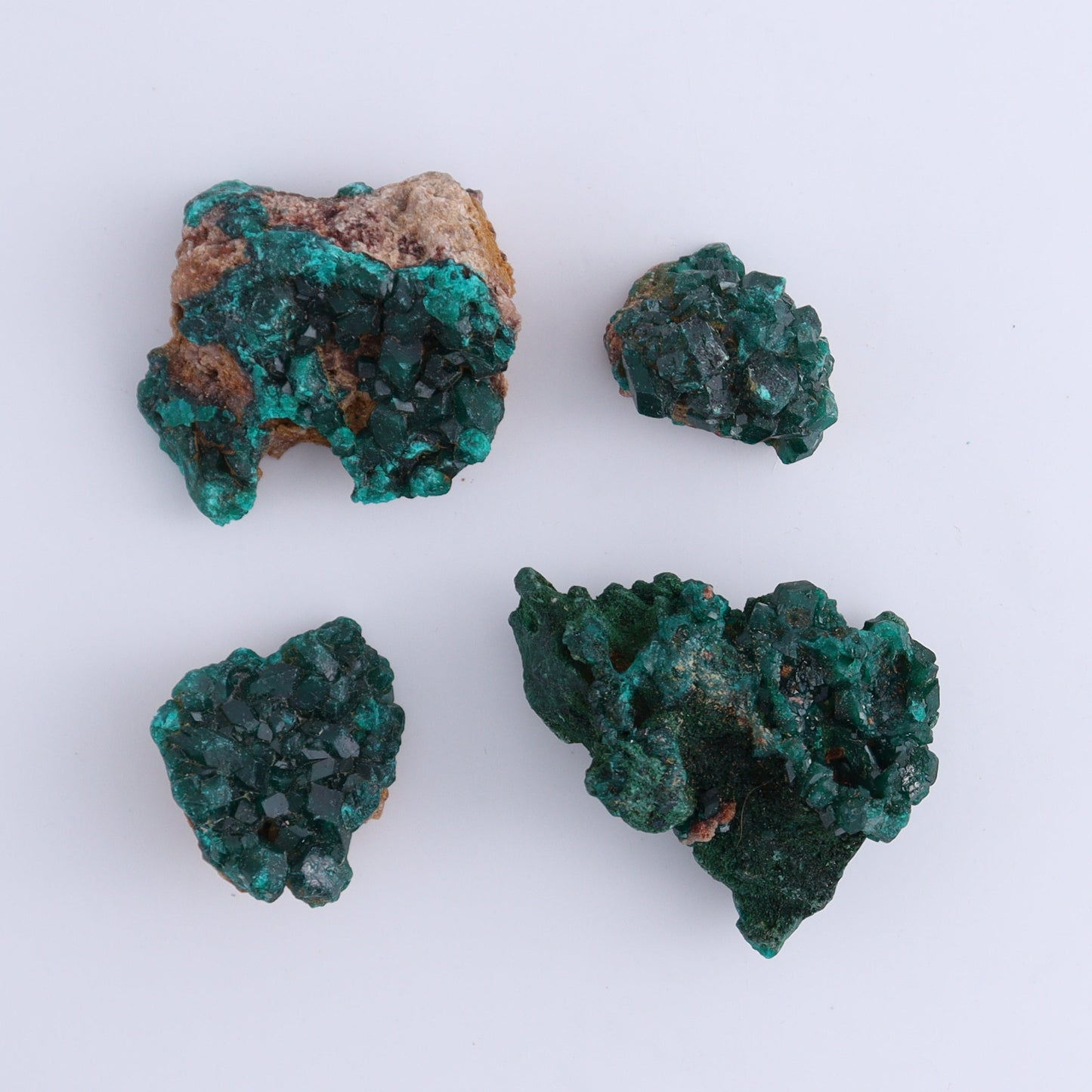 Dioptase Set of 19 - Expert Wholesale and Supplier of Wholesale Crystals & Bulk Gemstones, ["dioptase","Freeform","Freeforms"]