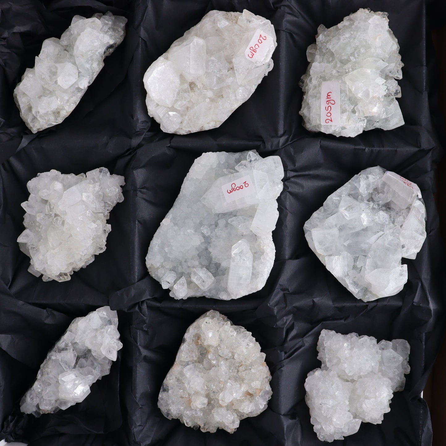 Apophyllite Clusters Flat of 12 - Expert Wholesale and Supplier of Wholesale Crystals & Bulk Gemstones, ["Apophyllite","Clusters","Flats"]