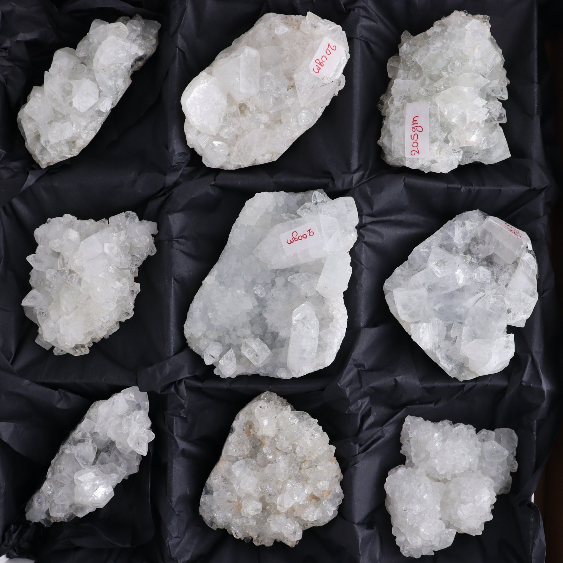 Apophyllite Clusters Flat of 12 - Expert Wholesale and Supplier of Wholesale Crystals & Bulk Gemstones, ["Apophyllite","Clusters","Flats"]