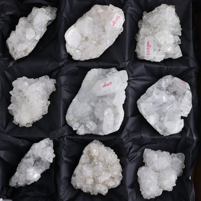 Apophyllite Clusters Flat of 12 - Expert Wholesale and Supplier of Wholesale Crystals & Bulk Gemstones, ["Apophyllite","Clusters","Flats"]