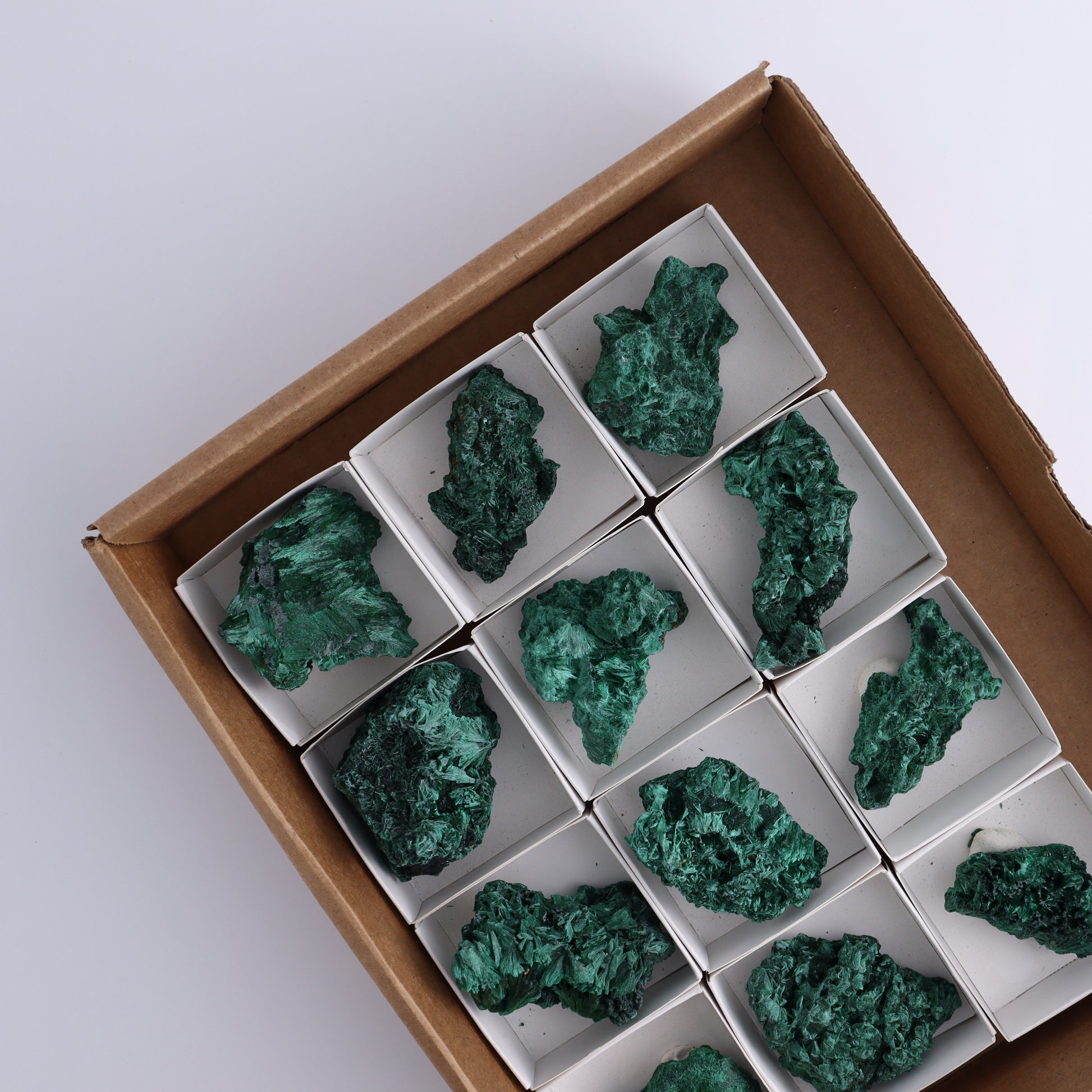 Malachite Freeforms Set of 12 - Expert Wholesale and Supplier of Wholesale Crystals & Bulk Gemstones, ["Freeform","Malachite","South Africa"]