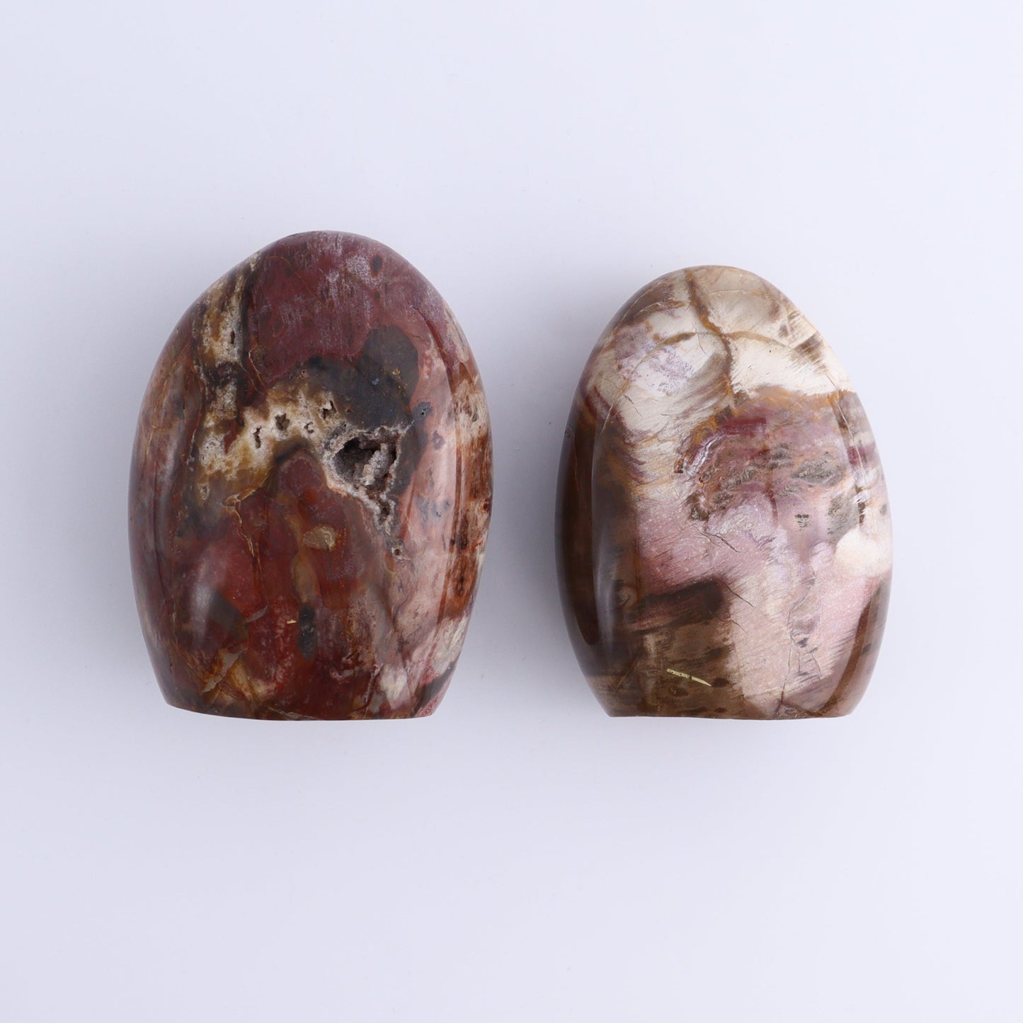 Petrified Wood Freeforms Set of 6 - Expert Wholesale and Supplier of Wholesale Crystals & Bulk Gemstones, ["Freeform","Freeforms","Madagascar","Petrified Wood"]