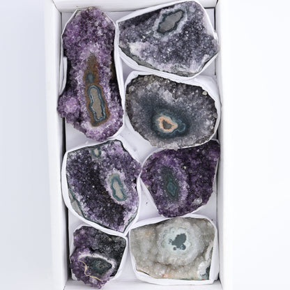 Uruguay Amethyst Clusters with "Eyes" Flat of 7 - Expert Wholesale and Supplier of Wholesale Crystals & Bulk Gemstones, ["Amethyst","Amethyst Eyes","Clusters","Uruguay"]