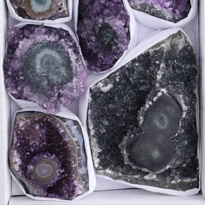 Uruguay Amethyst Clusters with "Eyes" Flat of 8 - Expert Wholesale and Supplier of Wholesale Crystals & Bulk Gemstones, []