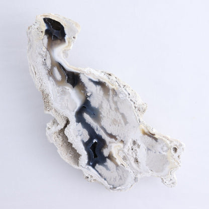 Agatized Coral Set of 5