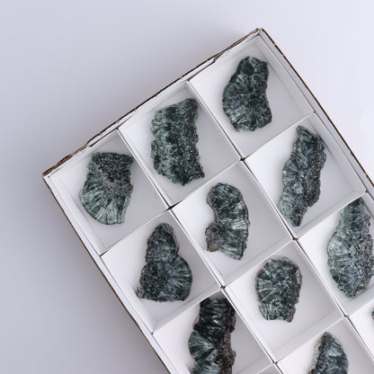 Seraphinite Slices Set of 12 - Expert Wholesale and Supplier of Wholesale Crystals & Bulk Gemstones, ["Russia","Seraphinite","Slices and Slabs"]