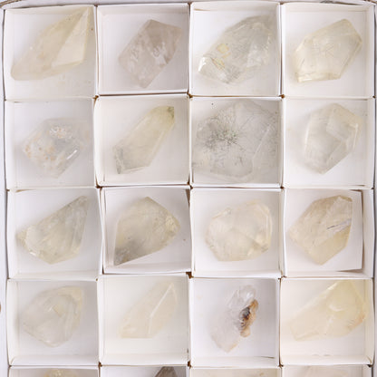 Quartz with Inclusions Feeforms Set of 24