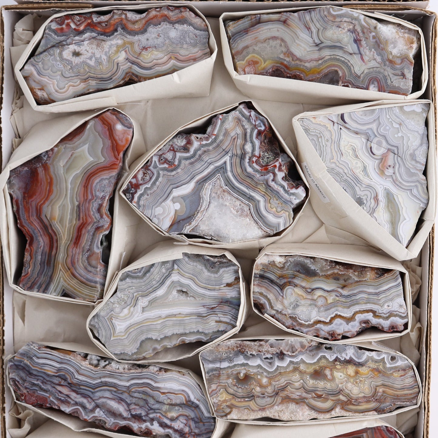 Crazy Lace Agate Flat of 11