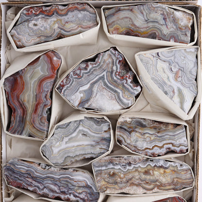 Crazy Lace Agate Flat of 11