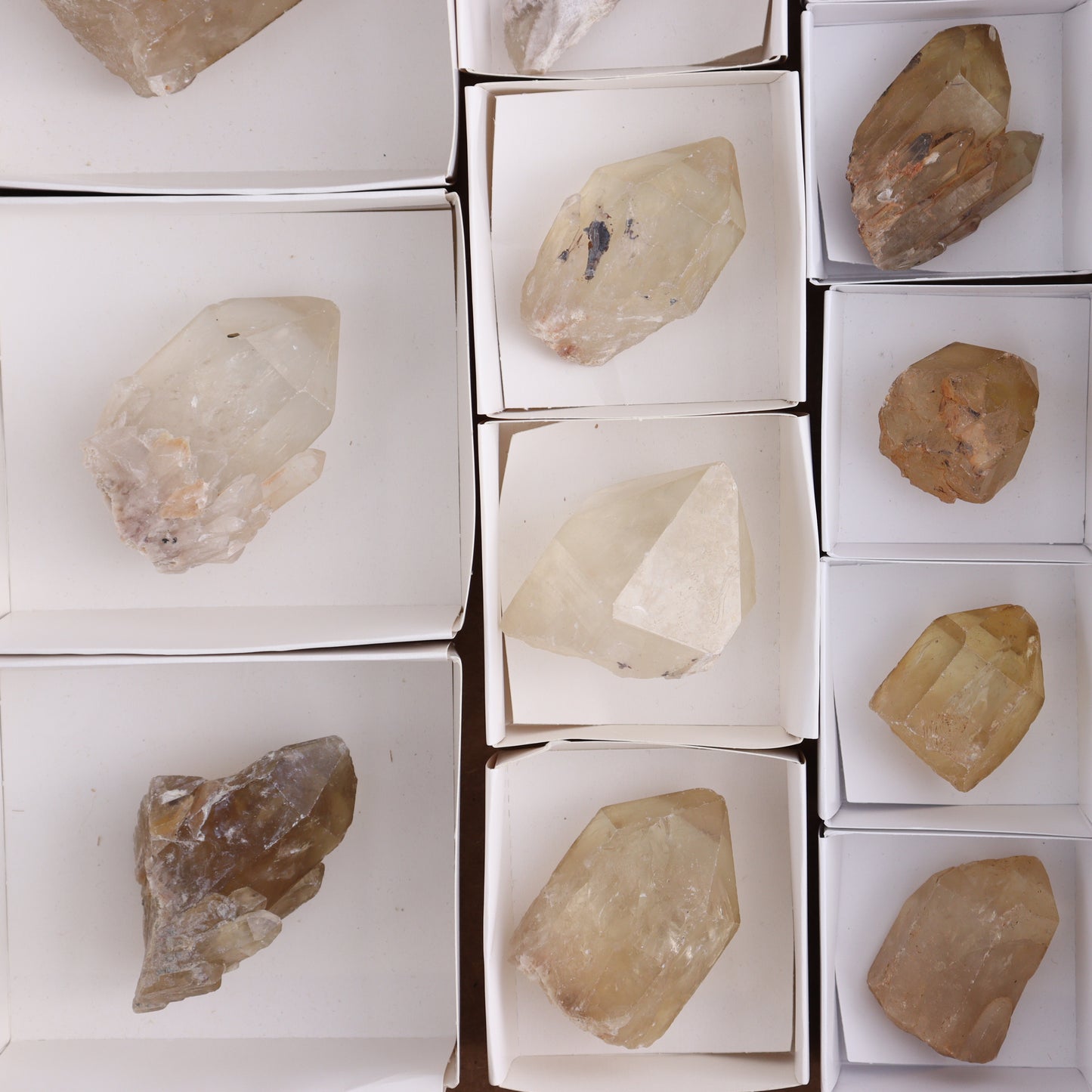 Congo Citrine Set of 12 - Expert Wholesale and Supplier of Wholesale Crystals & Bulk Gemstones, ["Citrine","Congo","Rough","Roughs"]