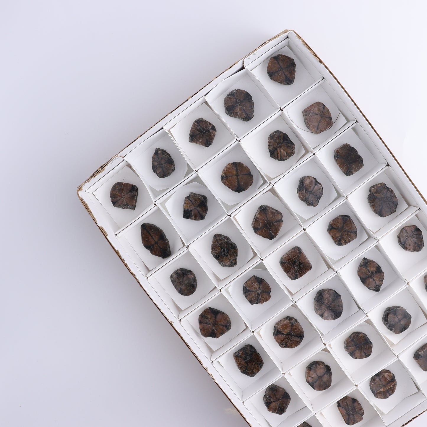 Chiastolite Flat of 35 - Expert Wholesale and Supplier of Wholesale Crystals & Bulk Gemstones, ["chiastolite","China","flat","Flats"]