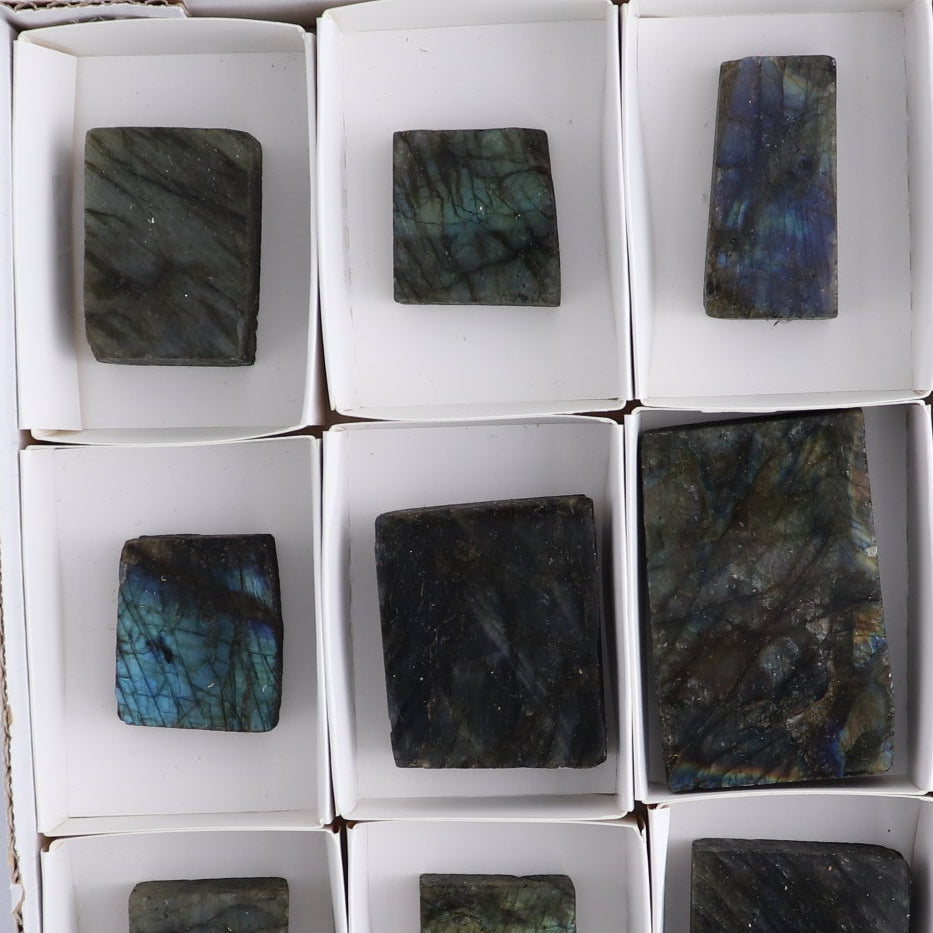 Labradorite Freeform Set of 16