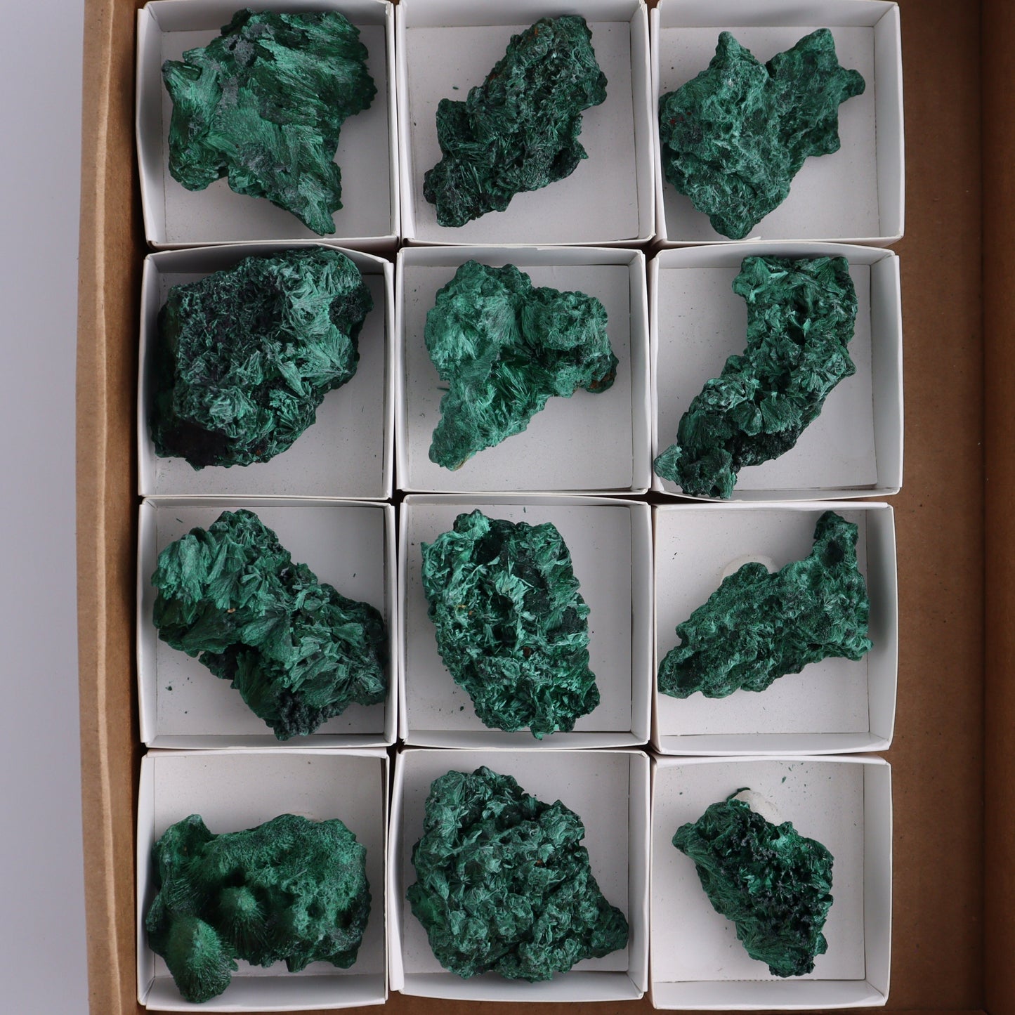 Malachite Freeforms Set of 12 - Expert Wholesale and Supplier of Wholesale Crystals & Bulk Gemstones, ["Freeform","Malachite","South Africa"]