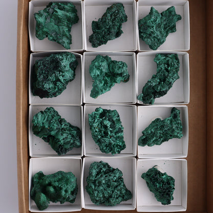 Malachite Freeforms Set of 12 - Expert Wholesale and Supplier of Wholesale Crystals & Bulk Gemstones, ["Freeform","Malachite","South Africa"]