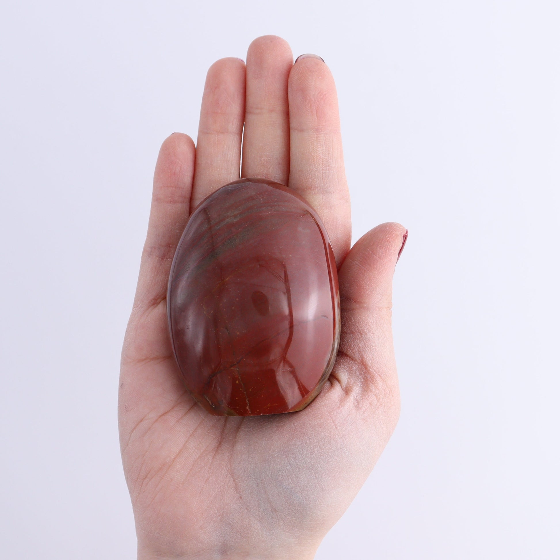 Petrified Wood Freeforms Set of 6 - Expert Wholesale and Supplier of Wholesale Crystals & Bulk Gemstones, ["Freeform","Freeforms","Madagascar","Petrified Wood"]