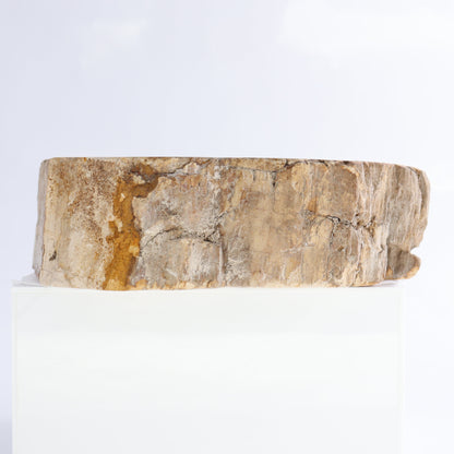Petrified Wood Bowls Set of 2 - Expert Wholesale and Supplier of Wholesale Crystals & Bulk Gemstones, ["Bowls","Indonesia","Petrified Wood"]