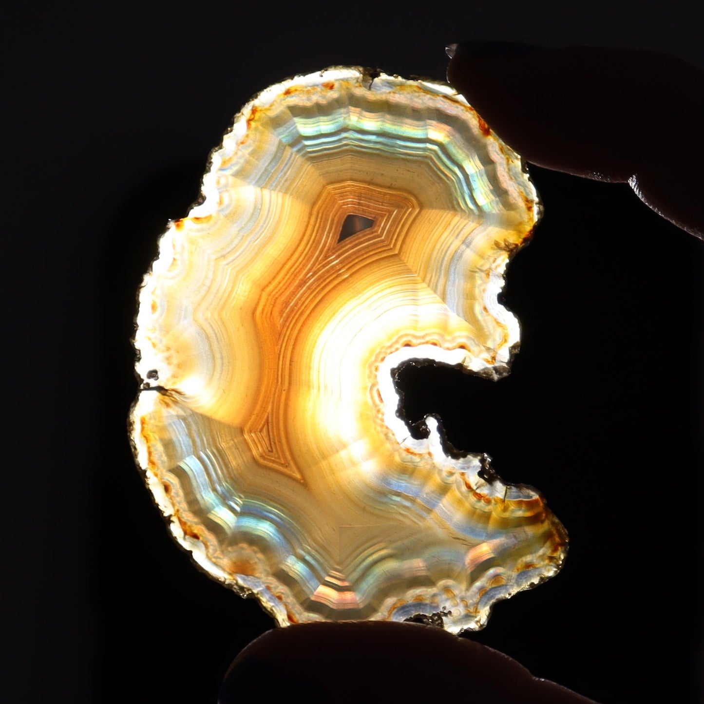 Iris Agate Slices Set of 7 - Expert Wholesale and Supplier of Wholesale Crystals & Bulk Gemstones, ["Agate","Iris Agate","Slices and Slabs"]
