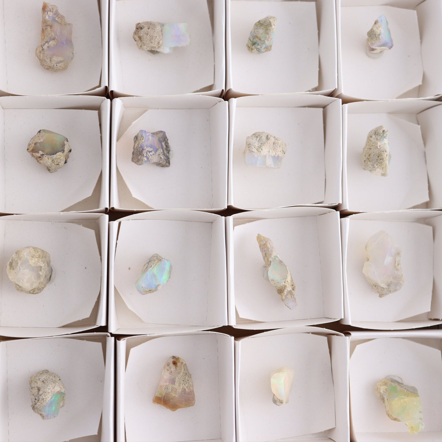 Ethiopian Opal Set of 24 - Expert Wholesale and Supplier of Wholesale Crystals & Bulk Gemstones, ["Ethiopia","ethiopian opal","Opal"]