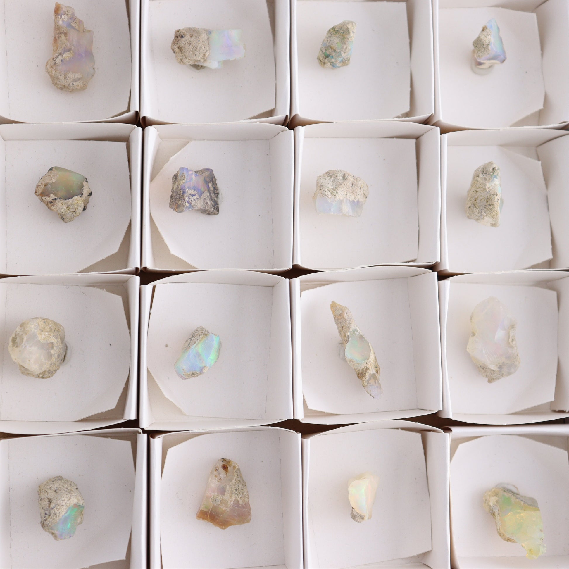Ethiopian Opal Set of 24 - Expert Wholesale and Supplier of Wholesale Crystals & Bulk Gemstones, ["Ethiopia","ethiopian opal","Opal"]