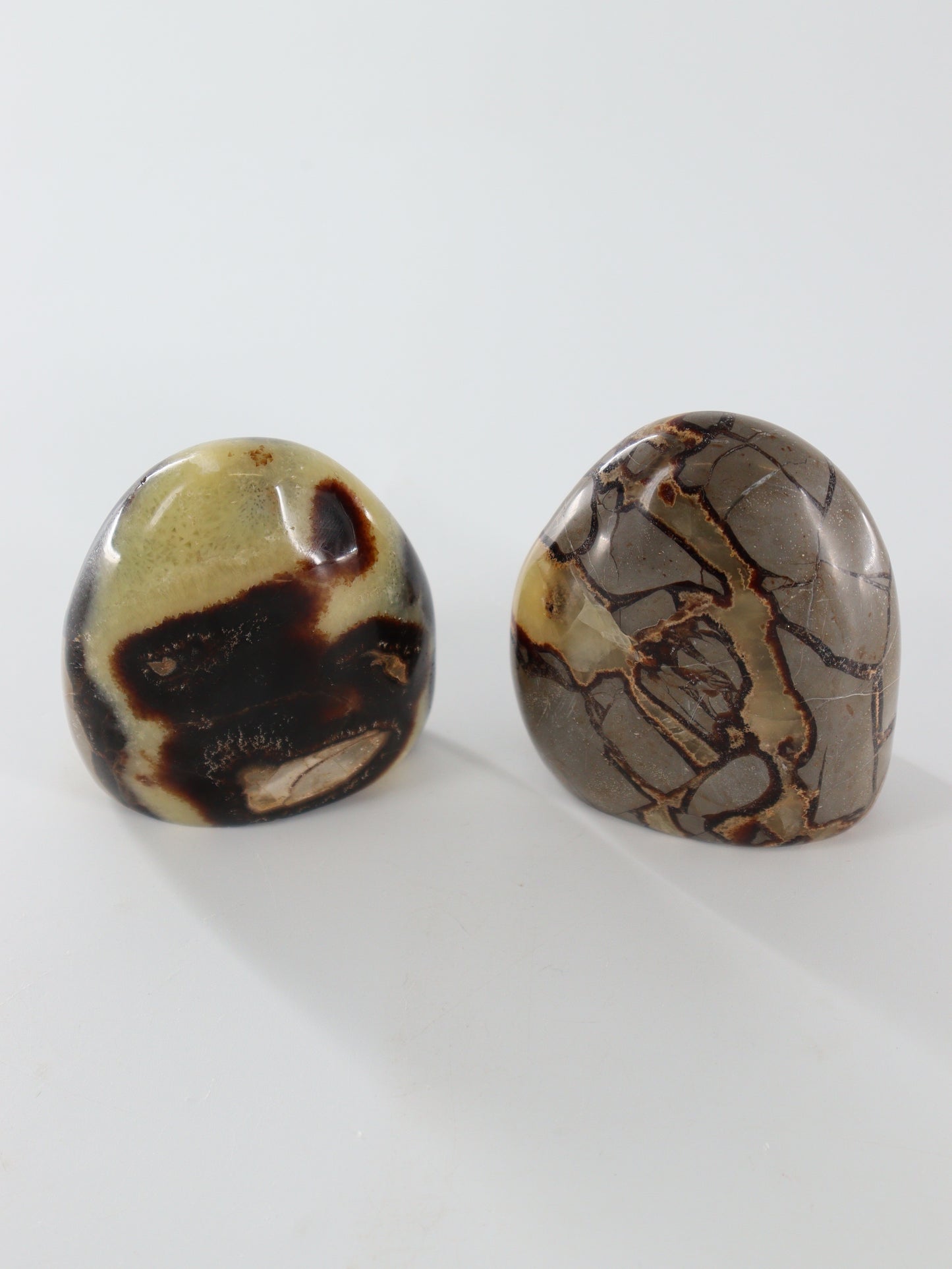 Septarian Freeforms Set of 6 - Expert Wholesale and Supplier of Wholesale Crystals & Bulk Gemstones, []