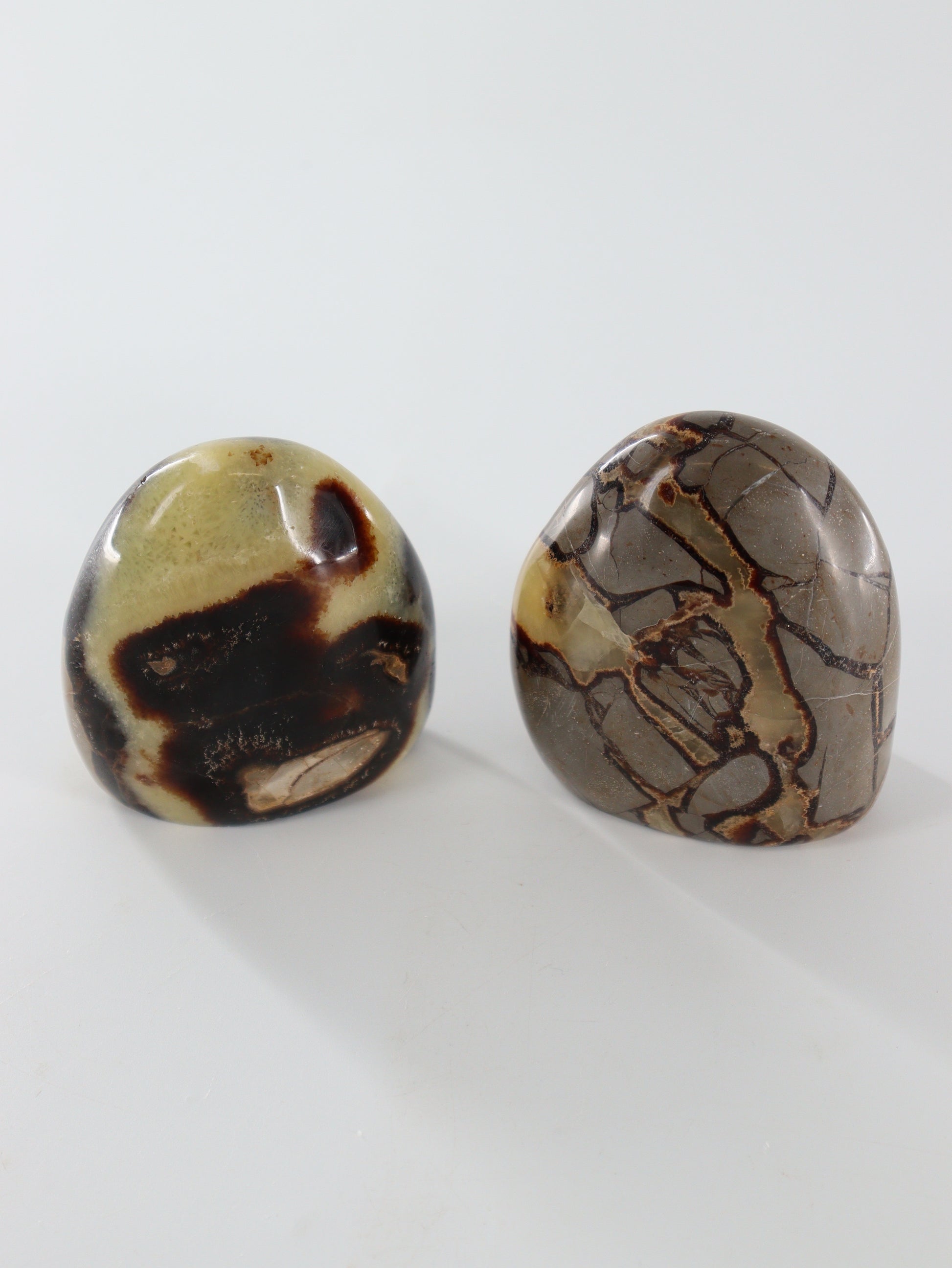 Septarian Freeforms Set of 6 - Expert Wholesale and Supplier of Wholesale Crystals & Bulk Gemstones, []