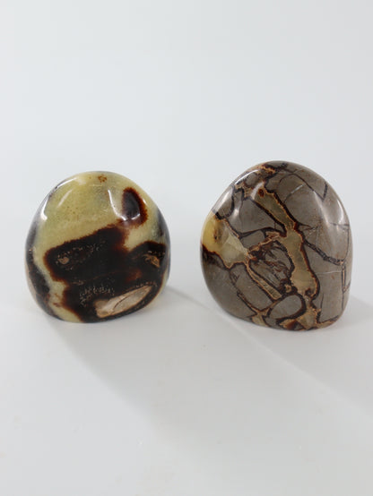 Septarian Freeforms Set of 6 - Expert Wholesale and Supplier of Wholesale Crystals & Bulk Gemstones, []